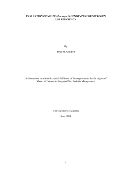 EVALUATION OF MAIZE (Zea mays L