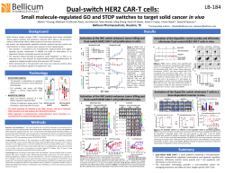 Dual-switch HER2 CAR-T cells