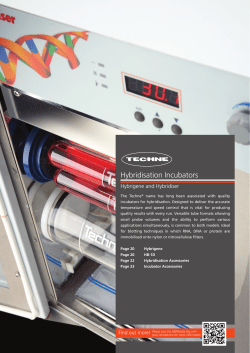 Hybridisation Incubators