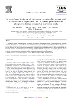 Is phosphorus limitation of planktonic heterotrophic bacteria and