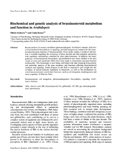 Biochemical and genetic analysis of brassinosteroid metabolism