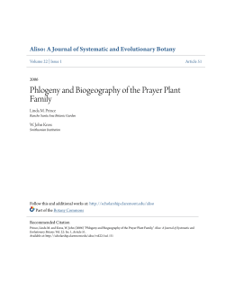 Phlogeny and Biogeography of the Prayer Plant Family