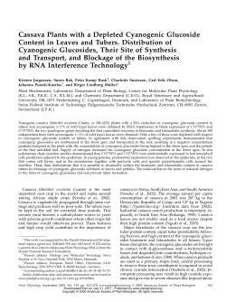 Cassava Plants with a Depleted Cyanogenic