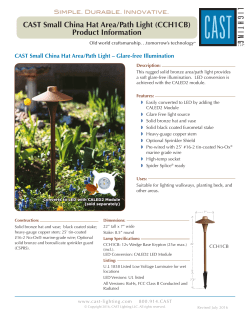 CAST Small China Hat Area/Path Light (CCH1CB