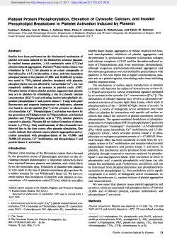Platelet Protein Phosphorylation, Elevation of Cytosolic