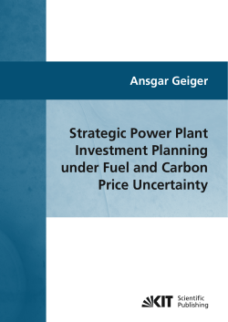 Strategic Power Plant Investment Planning under Fuel and Carbon