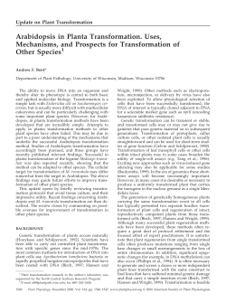 Arabidopsis in Planta Transformation. Uses, Mechanisms