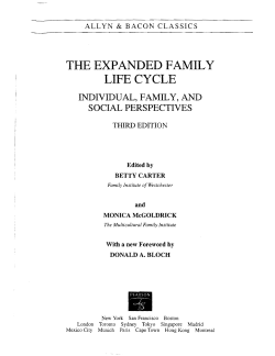 The expanded family life cycle