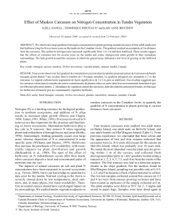 Effect of Muskox Carcasses on Nitrogen Concentration in Tundra