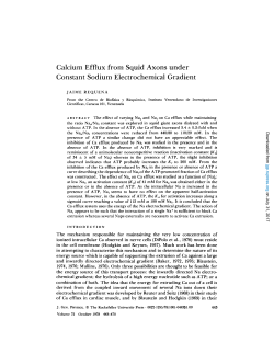 Calcium Efflux from Squid Axons under Constant Sodium