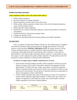Lab 9. Cellular Respiration
