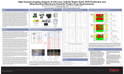 High-Content Imaging Analysis of Cell Loss, Cellular Redox State