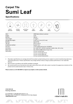 Sumi Leaf - Robert Malcolm