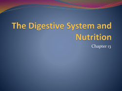 The Digestive System and Nutrition