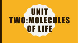Unit Two:Molecules of Life