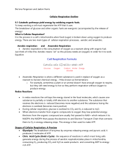 Cellular Respiration Outline