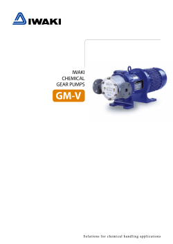 IWAKI Chemical Gear Pumps GM