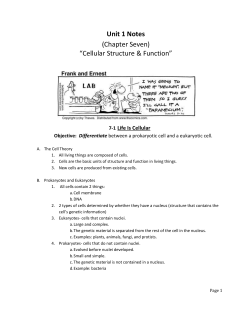 notes_01_cells