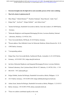 Structural insights into the light-driven auto-assembly
