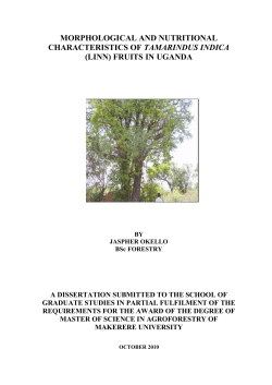 morphological and nutritional characteristics of tamarindus indica