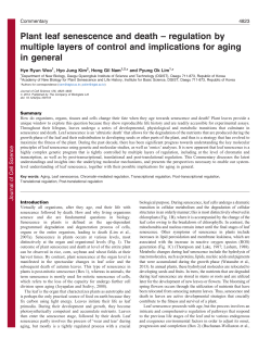 Plant leaf senescence and death - Journal of Cell Science