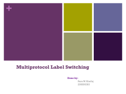 Multiprotocol Label Switching