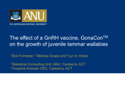 The effect of a GnRH vaccine, GonaCon on the growth of juvenile