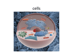 cells - Learning on the Loop