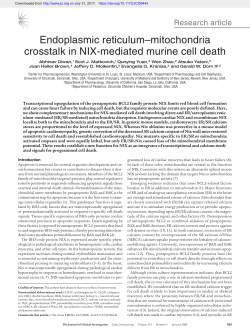Endoplasmic reticulum&ndash;mitochondria crosstalk in NIX
