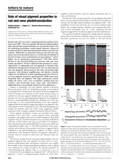 Role of visual pigment properties in rod and cone phototransduction