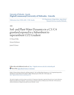 Soil- and Plant-Water Dynamics in a C3/C4 grassland exposed to a