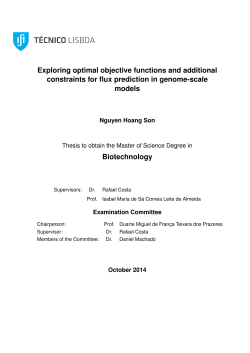 Exploring optimal objective functions and additional constraints for