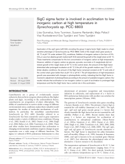 SigC sigma factor is involved in acclimation to low inorganic carbon