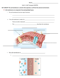 Chemical signals are transmitted across the cell membrane.