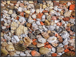 pulp response to cavity prep