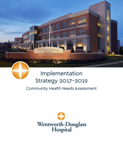 Implementation Strategy 2017-2019 - Wentworth