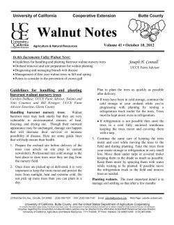Newsletter