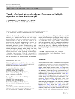 Toxicity of reduced nitrogen in eelgrass (Zostera