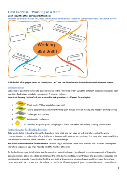 Facillitation practice workshops handout