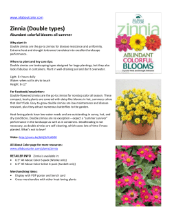 2016 Zinnia Hot Sheet | allaboutcolor.com
