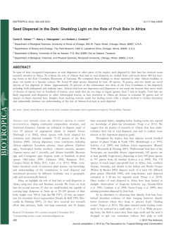Seed Dispersal in the Dark: Shedding Light on the Role of Fruit Bats