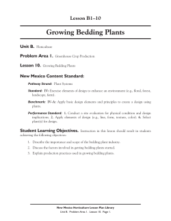 Growing Bedding Plants