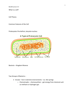 Autotrophs Heterotrophs Cyanobacteria &ndash; a type of bacteria