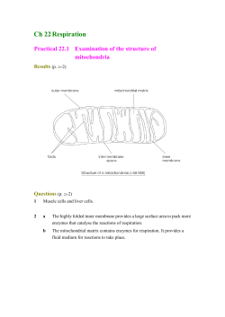 Practical 22.3 Investigation of carbon dioxide production in