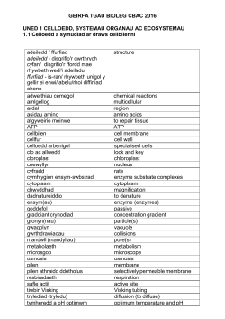 GEIRFA TGAU BIOLEG CBAC 2016 UNED 1 CELLOEDD