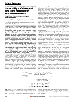 Low variability in a Y-linked plant gene and its implications for Y