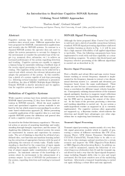 An Introduction to Real-time Cognitive SONAR Systems
