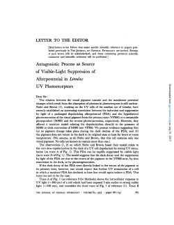 Antagonistic Process as Source of Visible