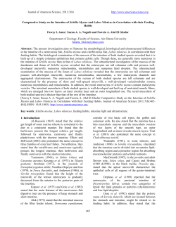 Paper - Journal of American Science