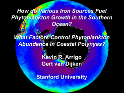 How do Various Iron Sources Fuel Phytoplankton Growth in the